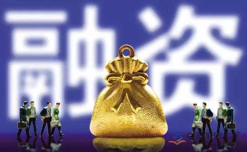 青岛伟博高易物信息网求融资者