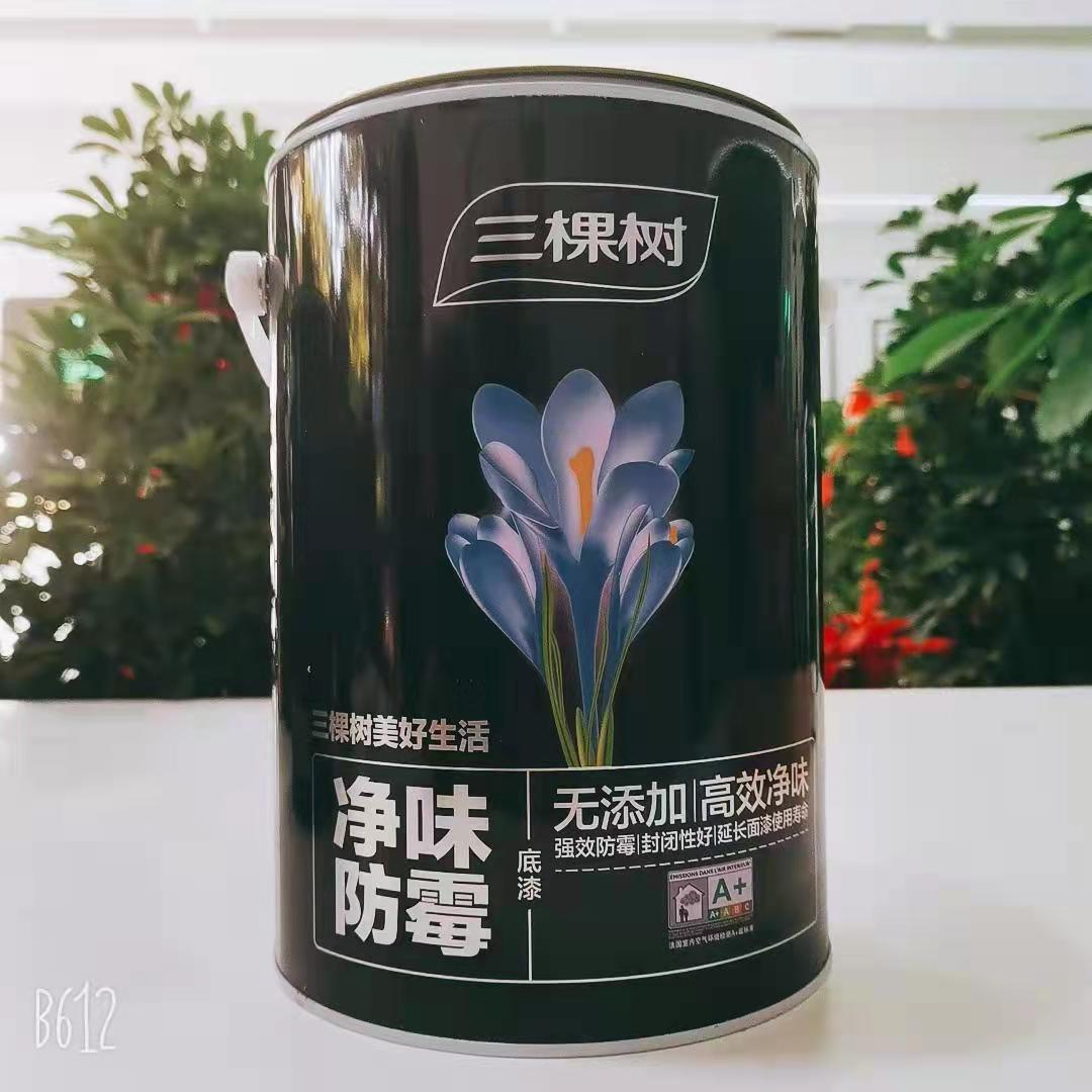 三净味防霉底漆（18L）