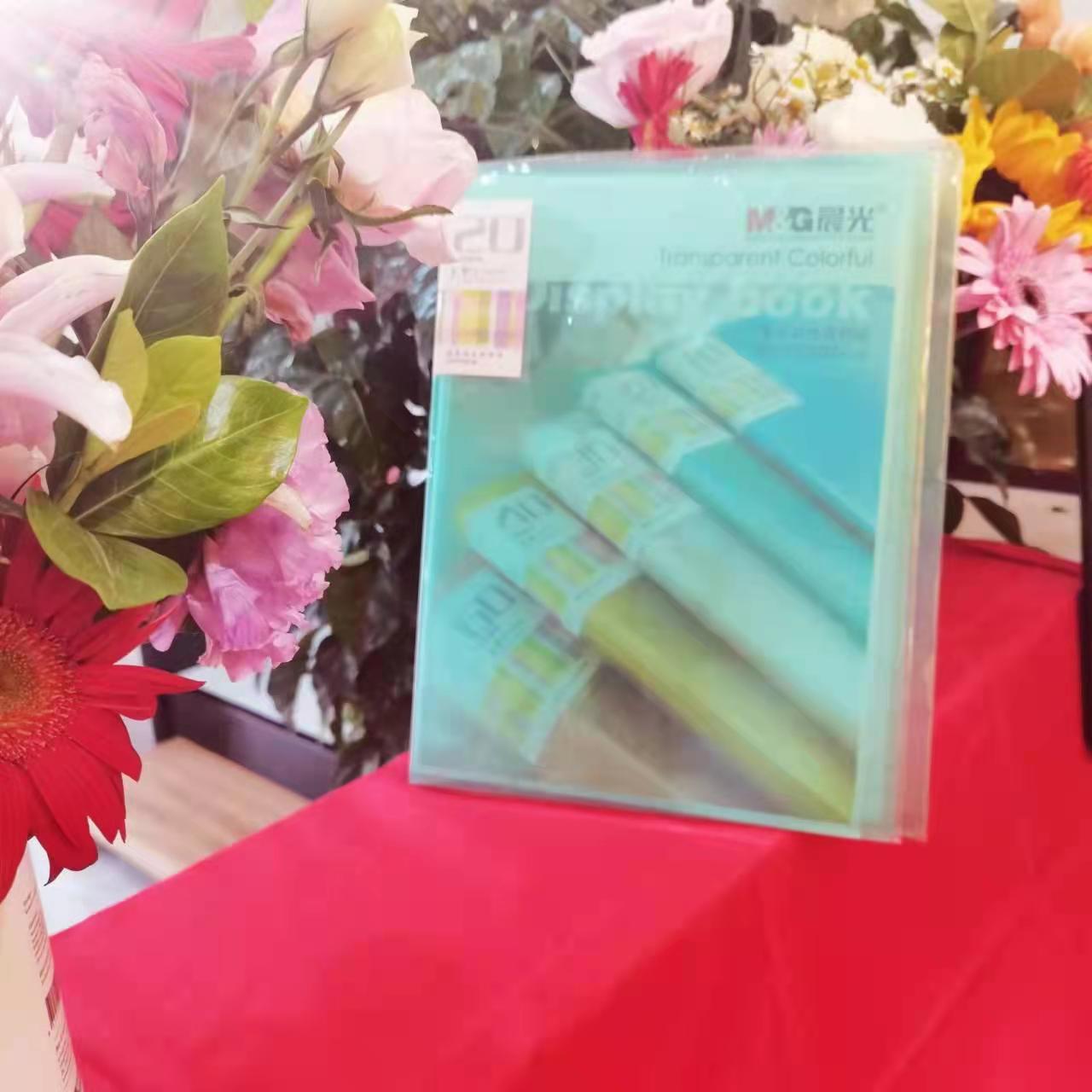 黑色中性笔笔芯（0.55mm）