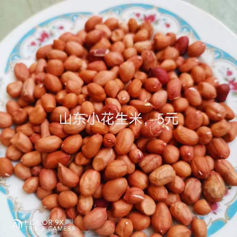农家自产白沙商品花生米