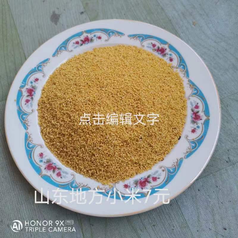 农家自产小米